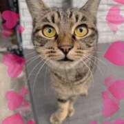 ヒメ日記 2025/07/20 18:19 投稿 とあ SUZUME