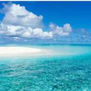 ヒメ日記 2025/07/23 16:46 投稿 とあ SUZUME