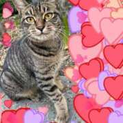 ヒメ日記 2025/08/01 16:58 投稿 とあ SUZUME