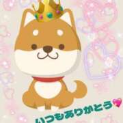 ヒメ日記 2025/08/10 19:29 投稿 とあ SUZUME