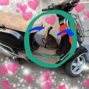 ヒメ日記 2025/09/07 19:29 投稿 とあ SUZUME