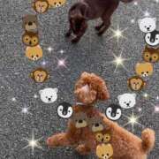 ヒメ日記 2025/09/27 19:15 投稿 とあ SUZUME