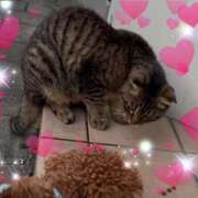 ヒメ日記 2025/10/06 18:49 投稿 とあ SUZUME