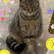 とあ ✨出勤🐶😻✨ SUZUME