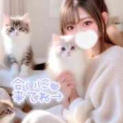 ヒメ日記 2025/04/09 22:44 投稿 なの 金瓶梅(きんぺいぱい)(雄琴)