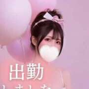 ヒメ日記 2025/04/10 11:14 投稿 なの 金瓶梅(きんぺいぱい)(雄琴)