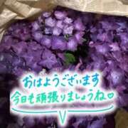 ヒメ日記 2026/06/12 11:16 投稿 ゆう Lolipop（ロリポップ）