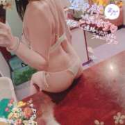 ヒメ日記 2025/06/21 08:59 投稿 みなみ ニューティアラ