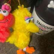 ヒメ日記 2025/10/18 10:16 投稿 みなみ ニューティアラ