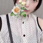 ヒメ日記 2025/06/08 15:33 投稿 ことり 王様のヘルス-人妻のおもてなし-