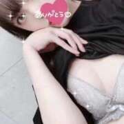 ヒメ日記 2025/09/11 13:43 投稿 ことり 王様のヘルス-人妻のおもてなし-