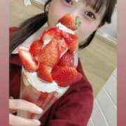 ヒメ日記 2026/03/13 12:33 投稿 ことり 王様のヘルス-人妻のおもてなし-