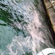 ヒメ日記 2026/04/10 18:23 投稿 ことり 王様のヘルス-人妻のおもてなし-