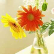 ヒメ日記 2025/05/05 13:38 投稿 新沼千乃 五十路マダム 仙台店