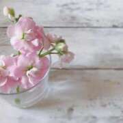 ヒメ日記 2025/05/19 15:28 投稿 新沼千乃 五十路マダム 仙台店