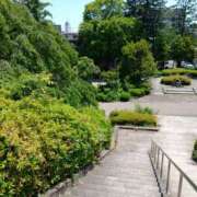 ヒメ日記 2025/06/02 12:52 投稿 新沼千乃 五十路マダム 仙台店