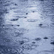 ヒメ日記 2025/06/25 18:46 投稿 新沼千乃 五十路マダム 仙台店