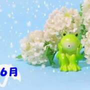 ヒメ日記 2025/06/26 13:50 投稿 新沼千乃 五十路マダム 仙台店