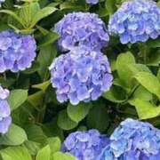 ヒメ日記 2025/06/30 16:32 投稿 新沼千乃 五十路マダム 仙台店