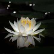 ヒメ日記 2025/07/08 13:48 投稿 新沼千乃 五十路マダム 仙台店