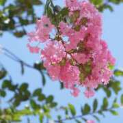 ヒメ日記 2025/07/09 13:40 投稿 新沼千乃 五十路マダム 仙台店