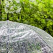 ヒメ日記 2025/08/06 12:20 投稿 新沼千乃 五十路マダム 仙台店