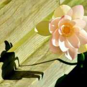 ヒメ日記 2025/08/15 13:42 投稿 新沼千乃 五十路マダム 仙台店