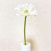 ヒメ日記 2025/09/02 13:38 投稿 新沼千乃 五十路マダム 仙台店