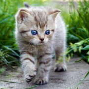 ヒメ日記 2025/09/12 16:46 投稿 新沼千乃 五十路マダム 仙台店