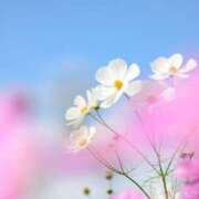 ヒメ日記 2025/10/21 13:28 投稿 新沼千乃 五十路マダム 仙台店