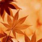 ヒメ日記 2025/10/22 14:12 投稿 新沼千乃 五十路マダム 仙台店