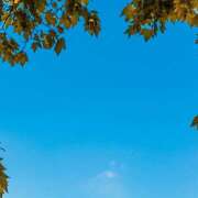 ヒメ日記 2025/11/04 13:38 投稿 新沼千乃 五十路マダム 仙台店