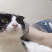 ヒメ日記 2025/04/05 11:22 投稿 せな 川越ぽちゃまに