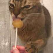 ヒメ日記 2025/04/13 11:52 投稿 せな 川越ぽちゃまに