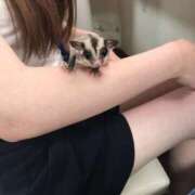 ヒメ日記 2025/05/15 11:12 投稿 せな 川越ぽちゃまに