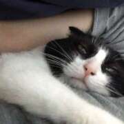 ヒメ日記 2025/05/15 16:03 投稿 せな 川越ぽちゃまに