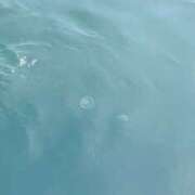 ヒメ日記 2025/09/02 17:20 投稿 にあ One More奥様　厚木店