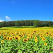 ヒメ日記 2025/06/25 12:49 投稿 まりん オトナ女子倶楽部