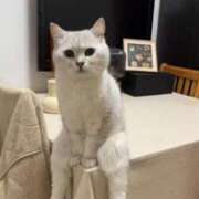 ヒメ日記 2025/06/27 19:09 投稿 まりん オトナ女子倶楽部