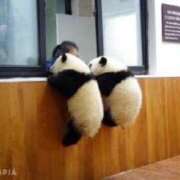 ヒメ日記 2025/06/29 16:39 投稿 まりん オトナ女子倶楽部