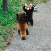 ヒメ日記 2025/06/30 08:39 投稿 まりん オトナ女子倶楽部