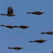 ヒメ日記 2026/02/03 19:29 投稿 まりん オトナ女子倶楽部