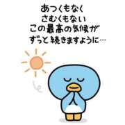 ヒメ日記 2025/05/02 12:01 投稿 のな 極楽城(ゴクラクジョウ)