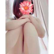 ヒメ日記 2026/08/04 15:14 投稿 みさえ エクセレント～美妻が集まる店～