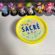 ヒメ日記 2025/07/26 04:44 投稿 橋本 れな マーベリック横浜