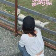 ヒメ日記 2025/09/01 23:54 投稿 橋本 れな マーベリック横浜