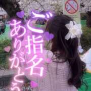 ヒメ日記 2025/04/12 11:20 投稿 かるあ パンドラ(上野)