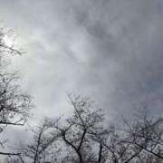 ヒメ日記 2025/05/01 17:16 投稿 桜 久留米デリヘルセンター