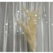 ヒメ日記 2025/05/07 07:56 投稿 桜 久留米デリヘルセンター