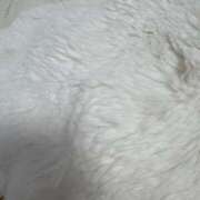 ヒメ日記 2025/05/21 06:46 投稿 桜 久留米デリヘルセンター